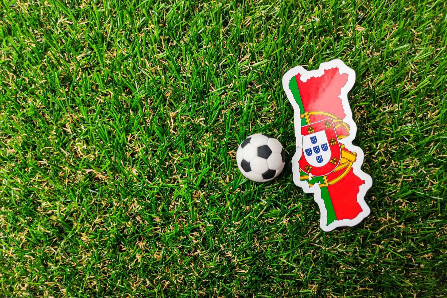 Imagem Destaque